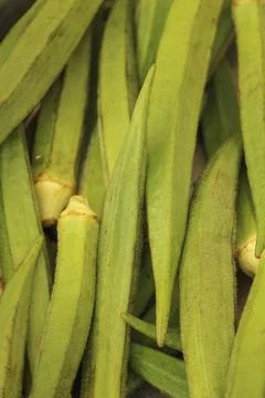 An image of the vegetable okra 写真素材