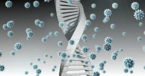 Image of virus cells and dna strand over white background 스톡 일러스트