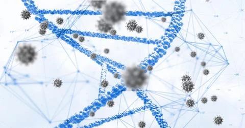 Image of virus cells and dna strand over white background 스톡 일러스트