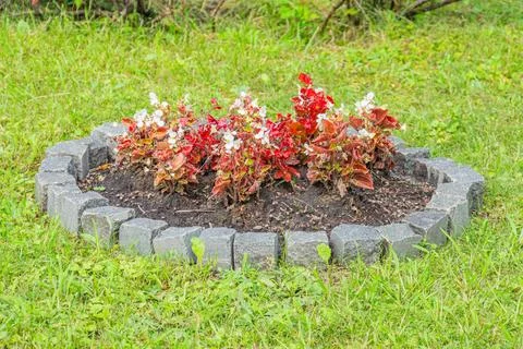 Image of a well-maintained circular flower bed with red blooming flowers, pos Stock Photos