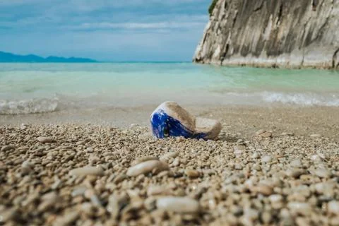 Image of a whale on the stone. Stock Photos