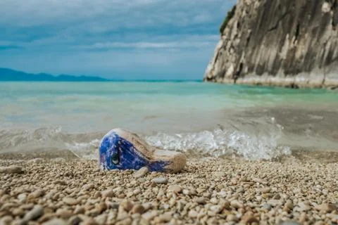 Image of a whale on the stone. Foto stock