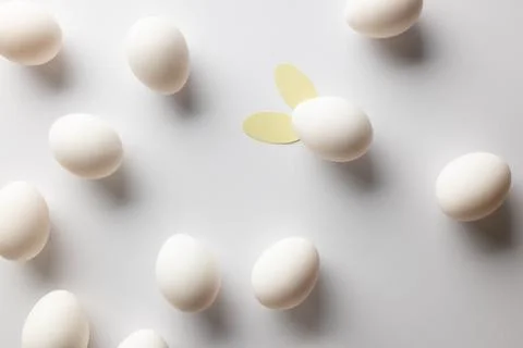 Image of white easter eggs with bunny ears and copy space on white background Stockfoto's