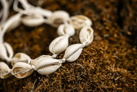 Image of white shell necklace Foto stock