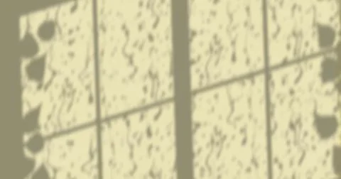 Image of window shadow of leaves and rain falling on yellow background 스톡 일러스트