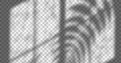 Image of window shadow of leaves over transparent background Ilustração Stock