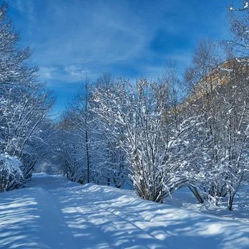 Image of a winter footpath. Stock Photos