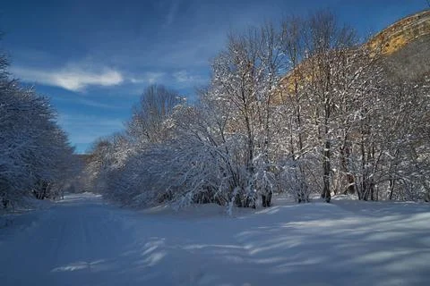 Image of a winter footpath. Stock Photos