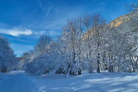Image of a winter footpath. Stock Photos