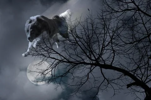Image of a wolf jumping from the sky at the moony night Stock Photos