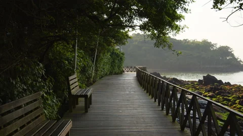 Image of wooden deck at ecological park in Balneário Camboriú, Brazil. Stock Footage 160159084
