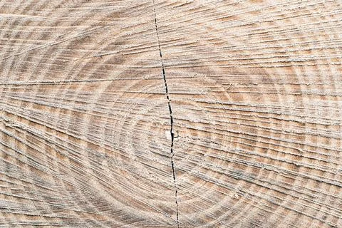 The image is of a wooden surface with a circular pattern Stock Photos
