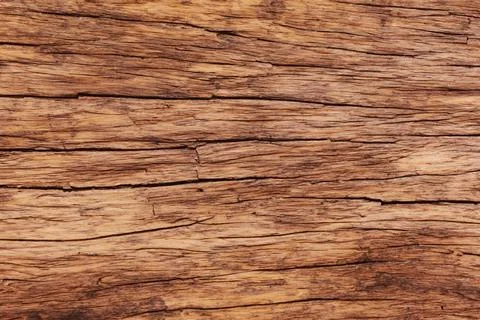 Image of wooden surface texture. Texture of wood background Stock Photos