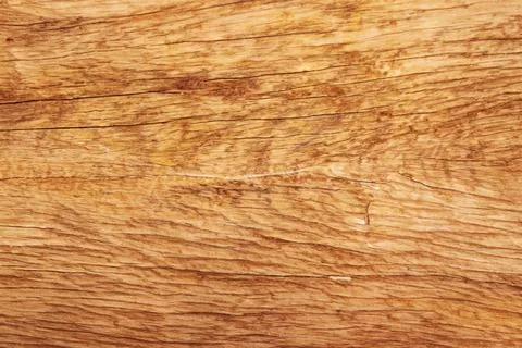 Image of wooden surface texture. Texture of wood background Stock Photos