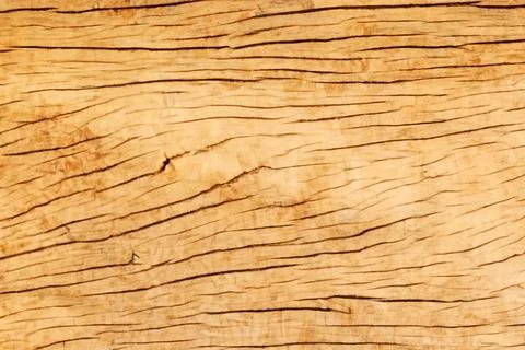 Image of wooden surface texture. Texture of wood background Stock Photos