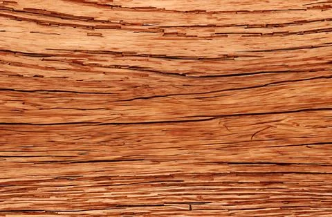 Image of wooden surface texture. Texture of wood background Stock Photos