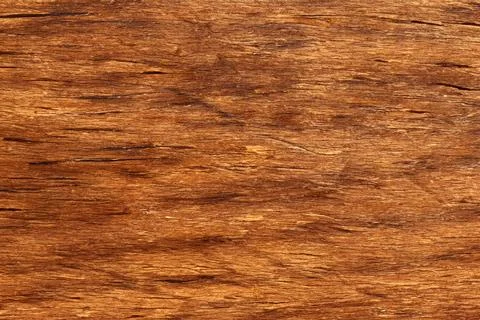 Image of wooden surface texture. Texture of wood background Stock Photos