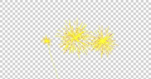 Image of yellow fireworks exploding on white background Stock Illustration