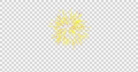 Image of yellow fireworks exploding on white background Stock Illustration