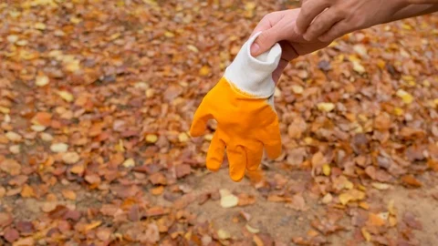 Image of yellow work gloves worn before work for Occupational Health and safety. Stock Footage 121360790