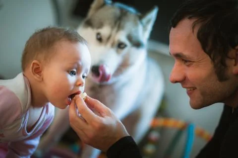 Image of young dad feeds cute little daughter with hands Stock Photos