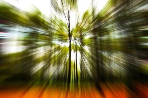 An image of a zoom in coniferous forest Stock Photos