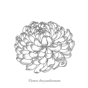 Image2006 Stock Illustration