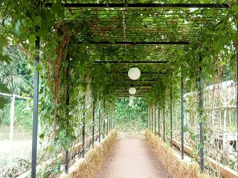 Image_landscape 002 Stock Photos