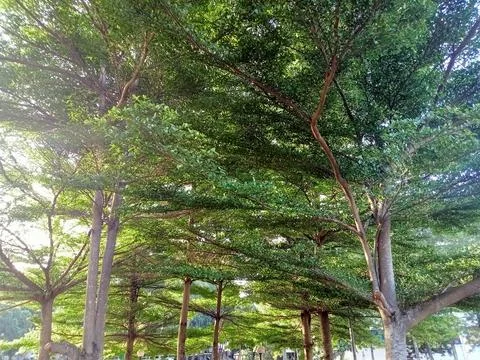 Image_landscape 009 Stock Photos