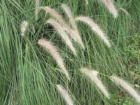 Image_landscape 012 Stock Photos