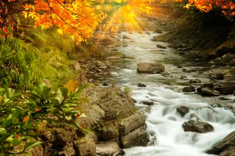 Imageing of nice water with maple compose a beautiful view Stock Photos