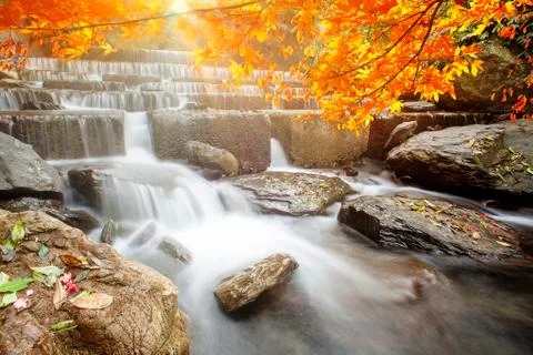 Imageing of nice water with maple compose a beautiful view Stock Photos