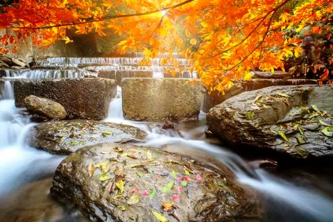 Imageing of nice water with maple compose a beautiful view Stock Photos