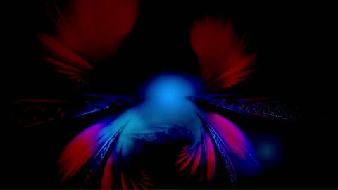 Imaginary Bird (abstract, colorful, pulsating) Stock Footage 249819632