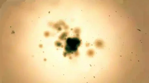 Imagination Stockmateriaal After Effects