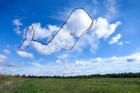 Imagination and creativity. Fluffy cloud in shape of whale with drawn outli.. Foto stock
