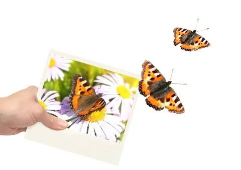 Imagination Stock Illustration