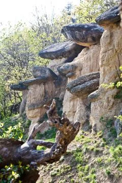 Imaginative forest landscape Stock-Fotos