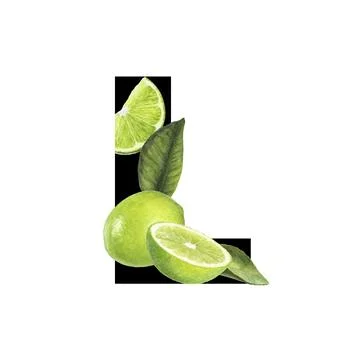 Imaginative graphic design featuring lime and blossoms, showcasing a Stock Illustration