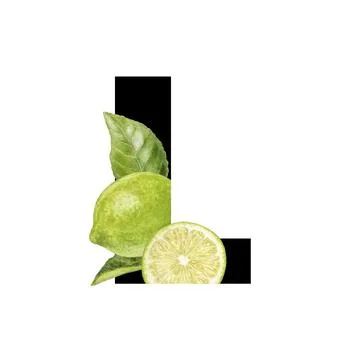 Imaginative graphic design featuring lime and blossoms, showcasing a Stock Illustration