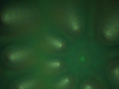 Imaginatory fractal background Image 스톡 일러스트