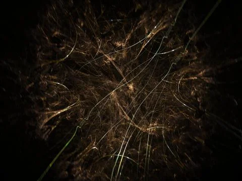 Imaginatory fractal background Image Stock Illustration