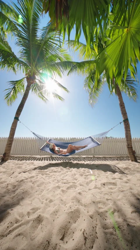 Imagine relaxing in a hammock under palm trees on a sunny beach Stock Footage 313164943