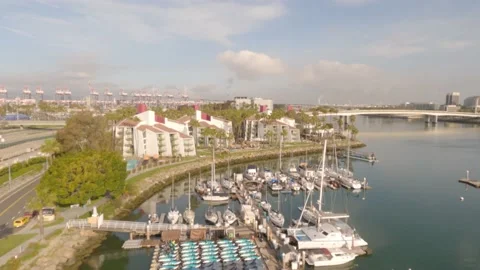 Imagine You Could Fly Video stock 238439729