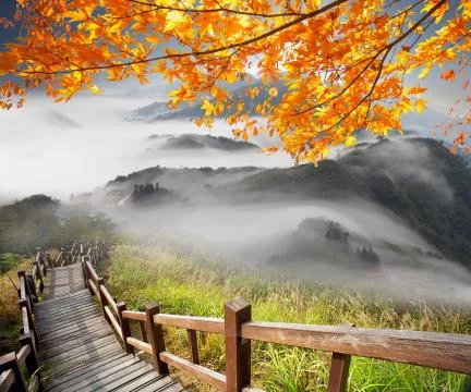 Imaging of mountain trail above the clouds on a sunny bright Stock Photos