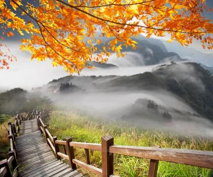 Imaging of mountain trail above the clouds on a sunny bright Stock Photos