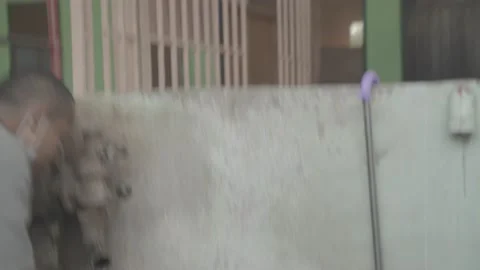 An Imam washing himself Stock Footage 230737470