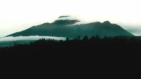 Imbabura volcano through the forest Stock-Footage 257900418