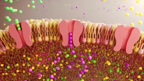 Imbalance in cell membrane calcium ion channels disrupts receptor Stock Footage 345199560