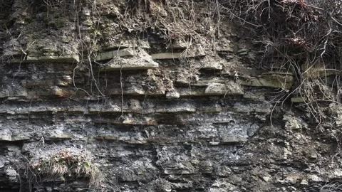 Imbeded Rock Wall Vídeos de archivo 295169438